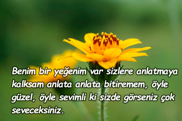 yeğene güzel sözler