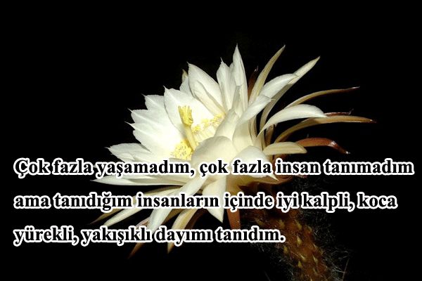 dayı ile ilgili sözler